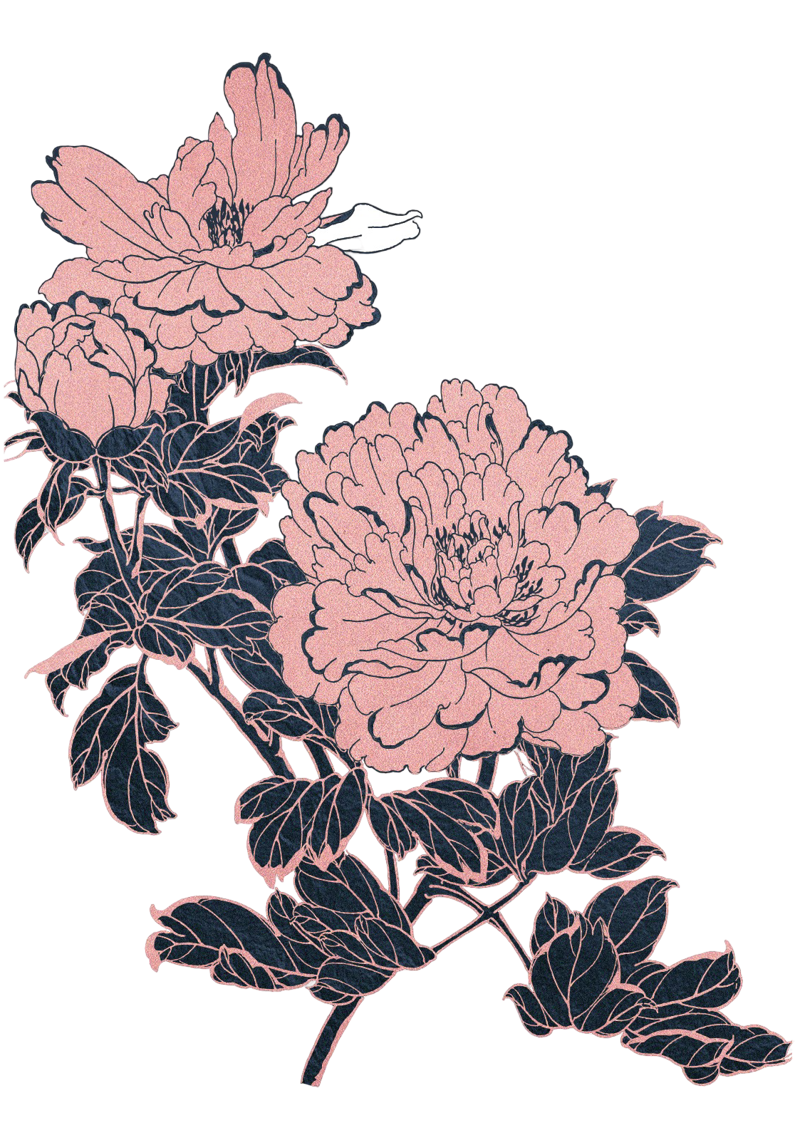 Flowers Image